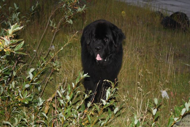 Фотография № 104551