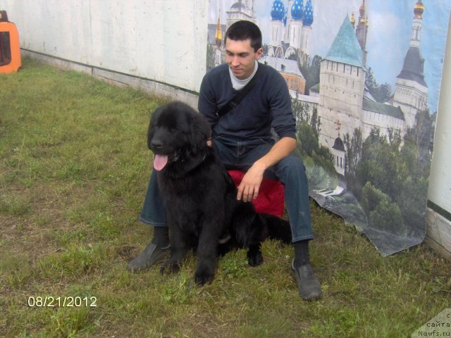 Фотография № 104669