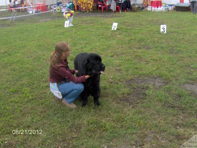 Фотография № 104670