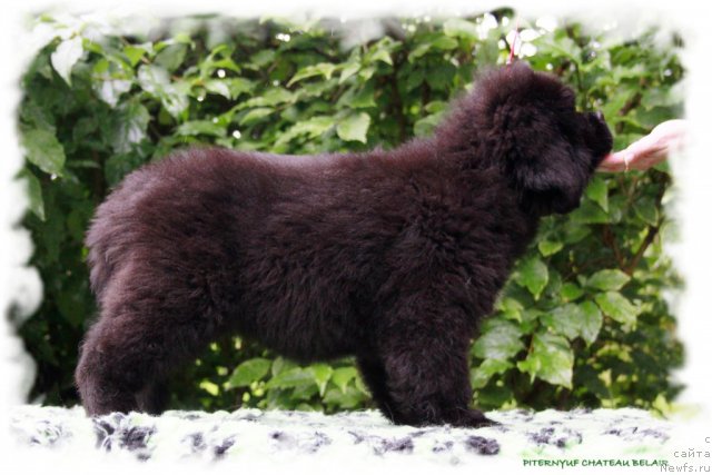 Фотография № 104706