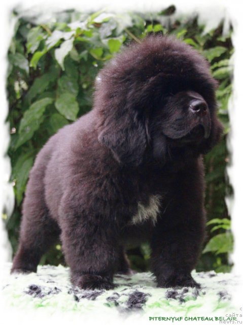 Фотография № 104708