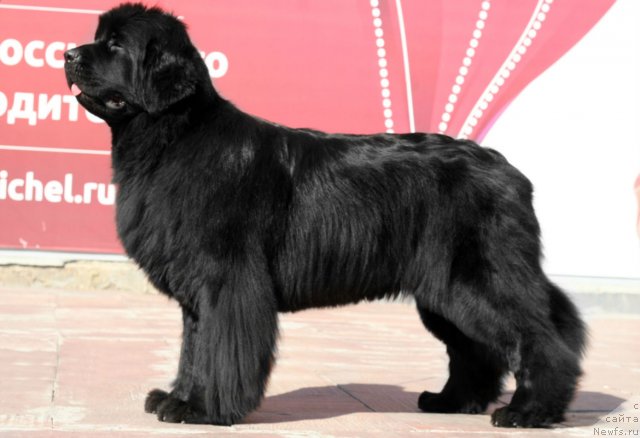 Фотография № 104728