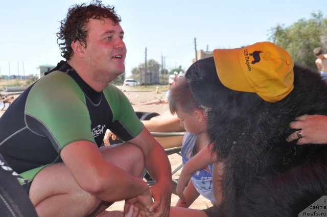 Фото: ньюфаундленд Акватория Келвин Олимпус (Aquatoriya Kelvin Olympus)