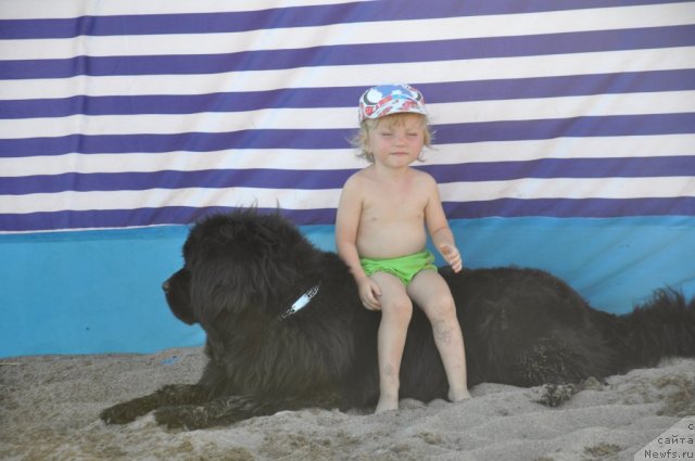 Фотография № 104756