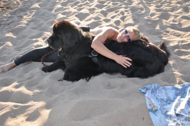 Фотография № 104757