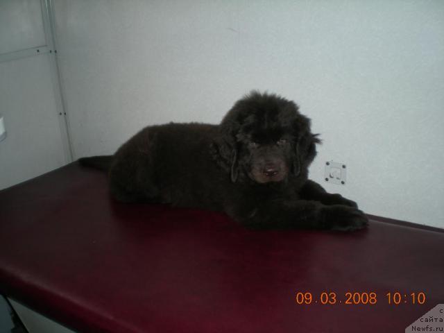 Фото: Надежда Захарова