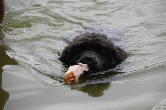 Фотография № 104773