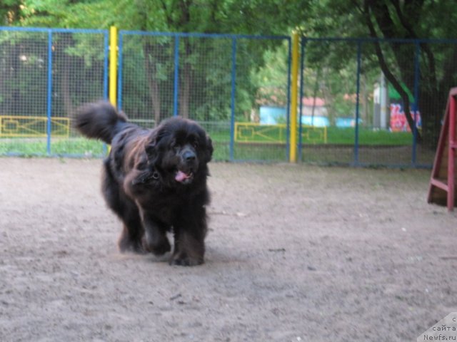 Фотография № 104780