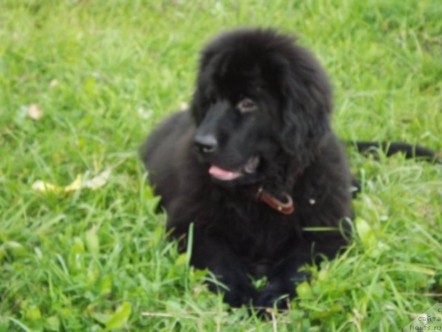 Фотография № 104798