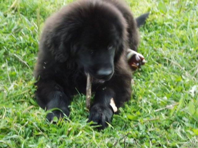 Фотография № 104799