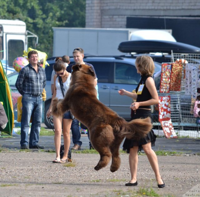 Фотография № 104822