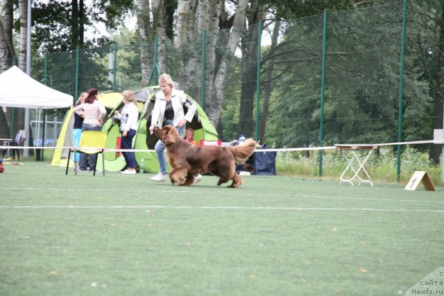 Фотография № 104863