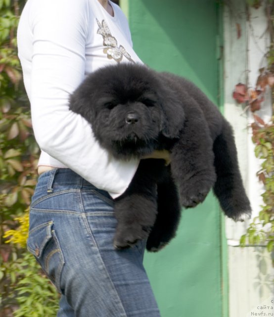 Фото: Галина Акулина, Бегущая по волнам Шадэ Колор оф Лайф