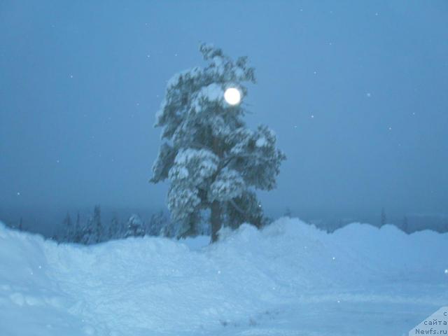 Фотография № 10491