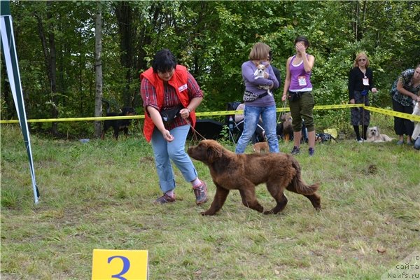 Фотография № 104940