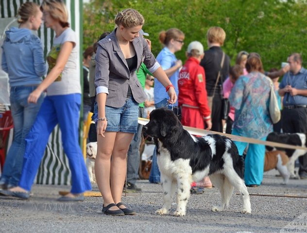 Фотография № 104983