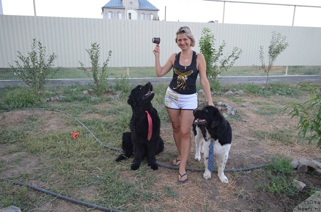 Фото: ньюфаундленд Вом Ватерфалл Лэнд Ай Тодор (Vom Waterfall Land Ay Todor), ньюфаундленд Черный Шарм Ванкувер