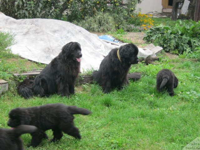 Фотография № 104991