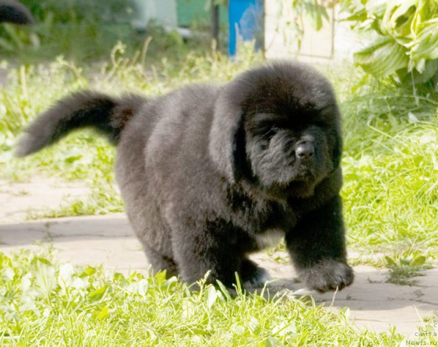 Фотография № 105047