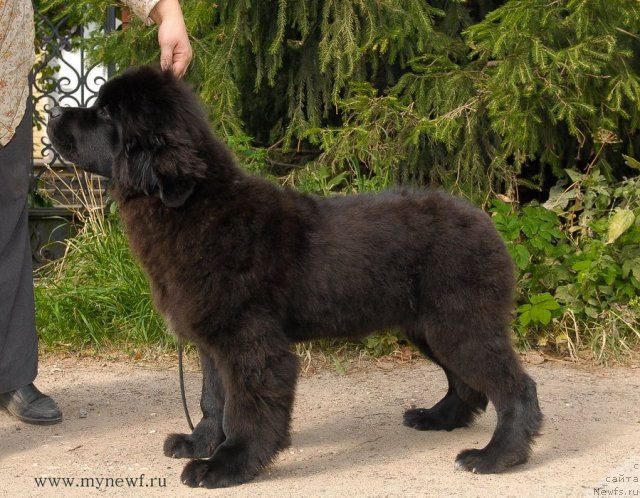 Фотография № 105082