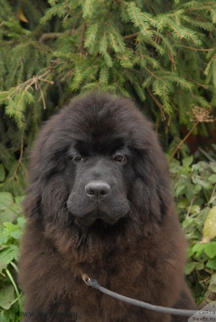 Фотография № 105094