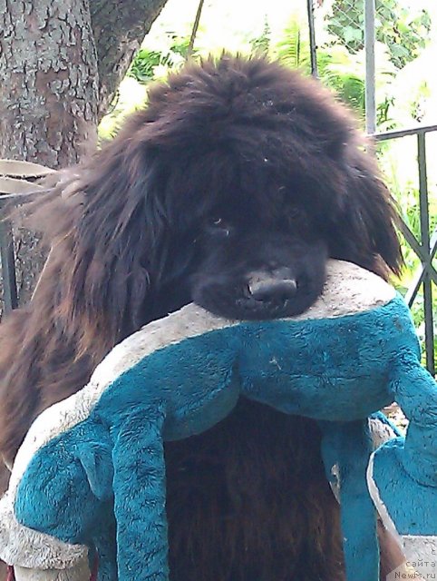 Фото: Ритм & Блюз