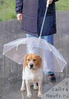 Фотография № 10515