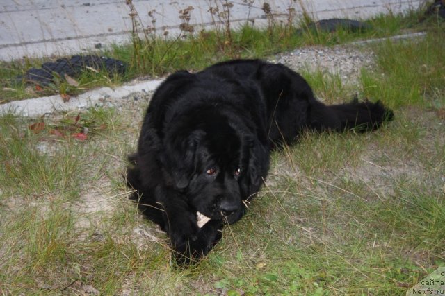 Фотография № 105182