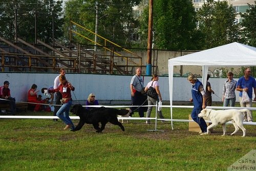 Фотография № 105195