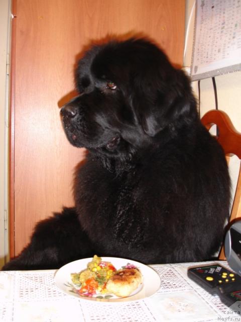 Фотография № 10521