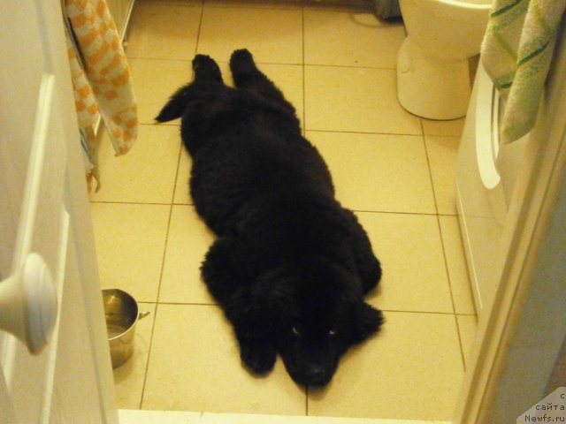 Фотография № 105220