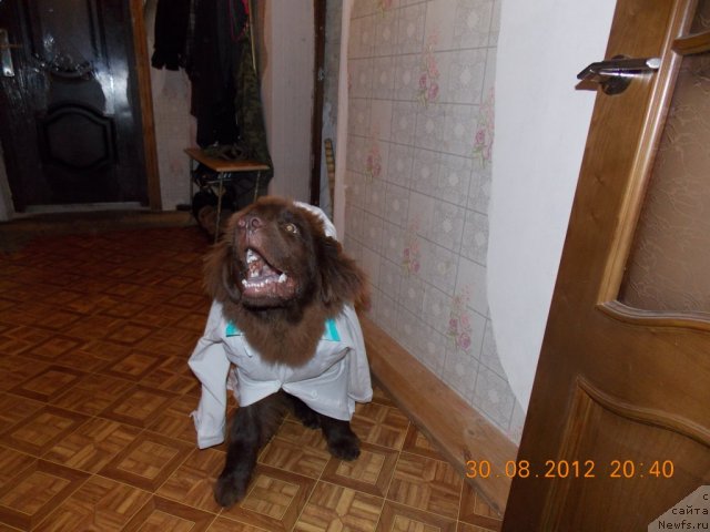 Фотография № 105257