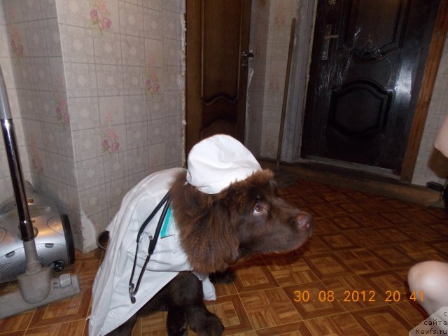 Фотография № 105258