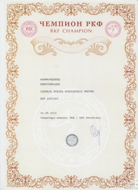Фото: ньюфаундленд Лесная Сказка Королевский Медведь (Lesnaja Skazka Korolevskiy Medved)