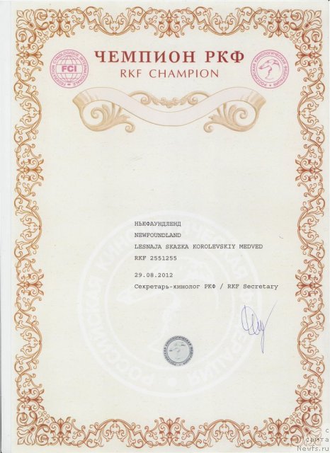 Фото: ньюфаундленд Лесная Сказка Королевский Медведь (Lesnaja Skazka Korolevskiy Medved)