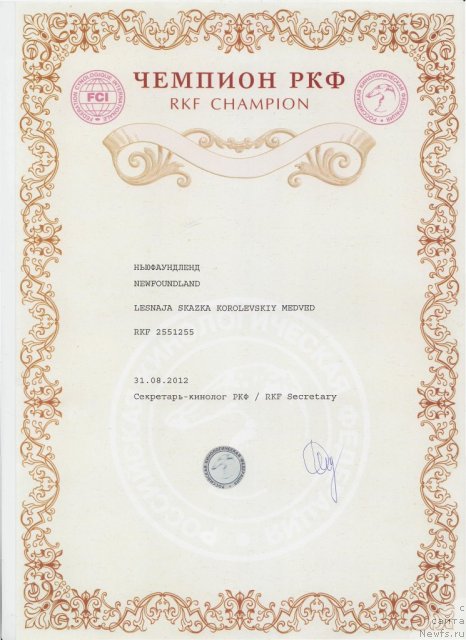 Фото: ньюфаундленд Лесная Сказка Королевский Медведь (Lesnaja Skazka Korolevskiy Medved)