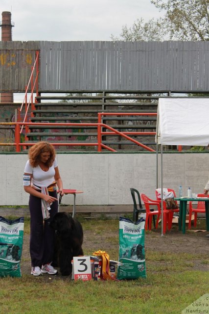 Фотография № 105318