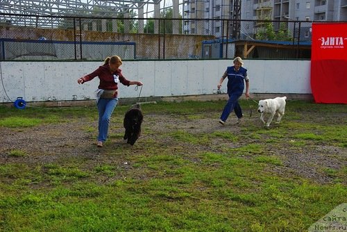 Фотография № 105322