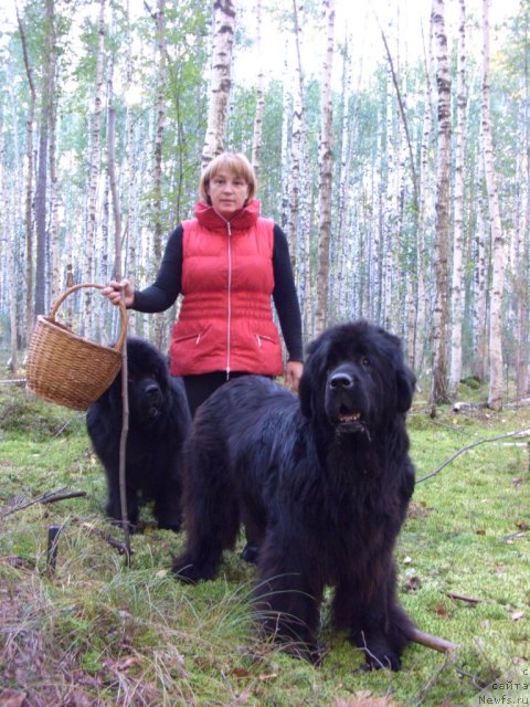 Фотография № 105348