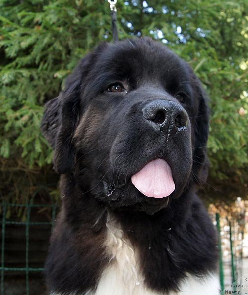 Фотография № 105369