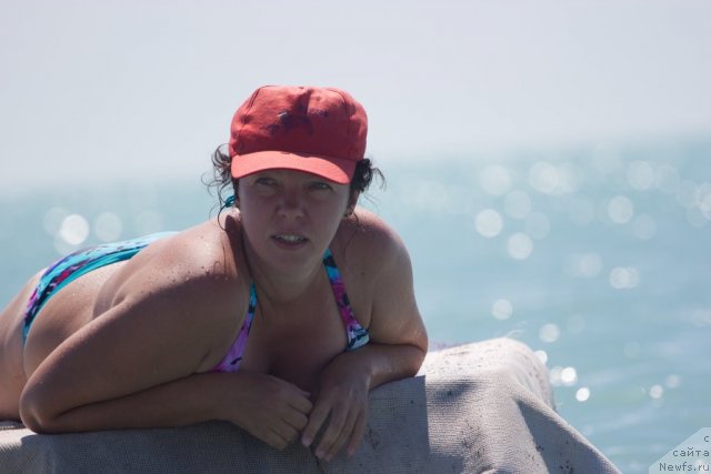 Фотография № 105423