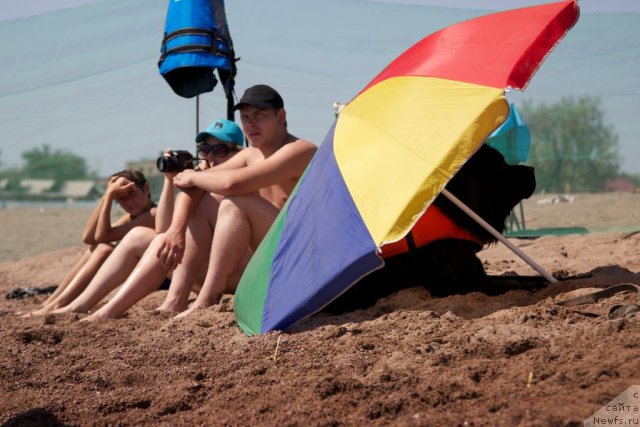 Фотография № 105426