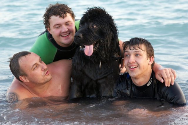 Фотография № 105427