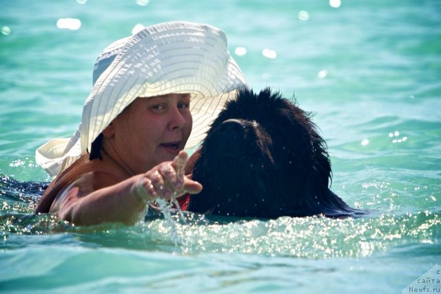 Фотография № 105428