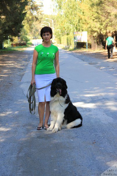 Фотография № 105478