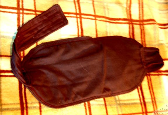 Фотография № 105504