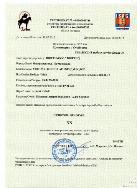 Фото: ньюфаундленд Уютная Долина Арнфрид Феодор