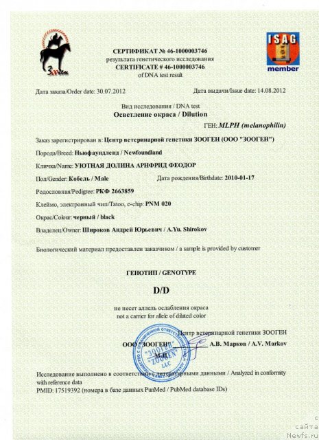 Фото: ньюфаундленд Уютная Долина Арнфрид Феодор