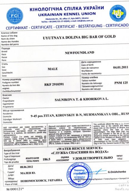 Фото: ньюфаундленд Уютная Долина Биг Бар Оф Голд