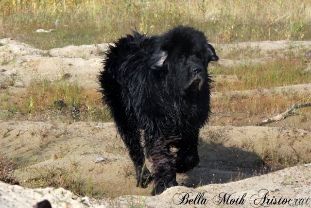 Фотография № 105587